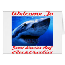 Welcome To The Great Barrier Reef Shark Cards