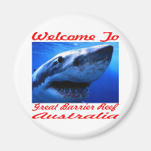 Welcome To The Great Barrier Reef Shark Magnets