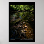Welcome to the jungle print