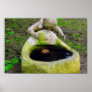 Well of Wishes Poster