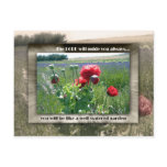 Well-watered Garden Post Cards