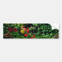 Wellington Botanical Gardens Bumper Stickers