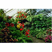 Wellington Botanical Gardens Acrylic Cut Out