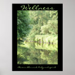 Wellness; peace in the mind, body and spirit