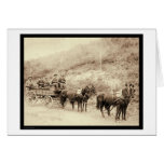 Wells Fargo Deadwood Treasure Wagon SD 1890 Card