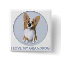 Welsh Corgi 1 Granddog