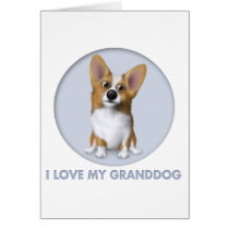 Welsh Corgi 1 Granddog