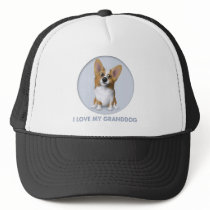 Welsh Corgi 1 Granddog