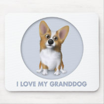 Welsh Corgi 1 Granddog