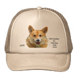Welsh Corgi "Jazz" Fences For Fido Hats