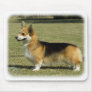 Welsh Corgi (Pembroke) Mouse Mats