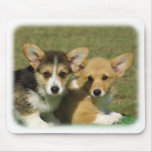 Welsh Corgi (Pembroke) Mouse Mat