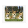 Welsh Corgi (Pembroke) Post Cards