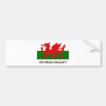 welsh dragon bumper sticker