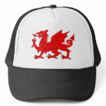 Welsh Dragon Mesh Hats