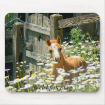 welsh pony mouse pad