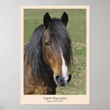 Welsh Section D poster or print