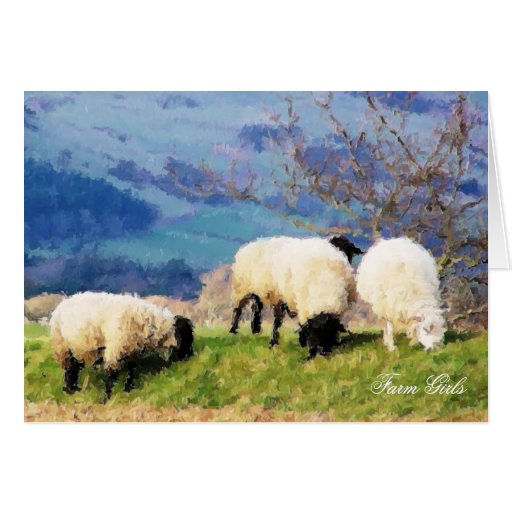 WELSH SHEEP CARD