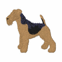 Welsh Terrier
