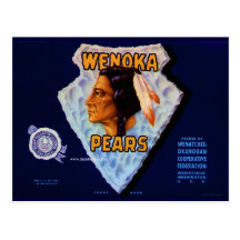Wenoka Post Card
