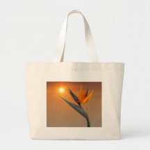 weR-whatWeEat Tote Bag