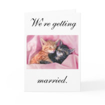 We're getting married. Wedding Invitation