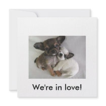 We're in love!