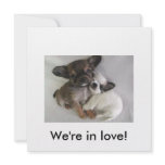 We're in love! invitations