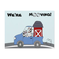 We're Moving Cow Postcard