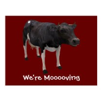 We're Moving Dairy Cow Funny Farm Humour postcards