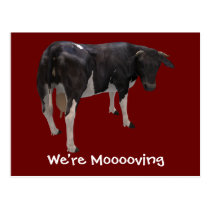 We're Moving Dairy Cow Funny Farm Humour postcards