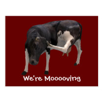 We're Moving Dairy Cow Funny Farm Humour postcards