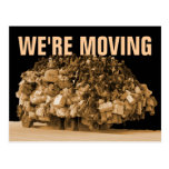 We're moving postcard