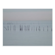 West Coast Postcards
