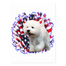 West Highland White Terrier Patriot Postcard