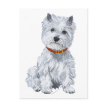 West Highland White Terrier Red Collar