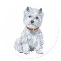 West Highland White Terrier Red Collar