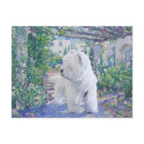 West Highland White Terrier - Support Rescue Postcard
