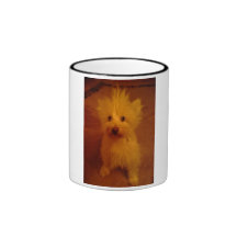 West Highland White Terrier Tasse