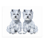West Highland White Terrier Twins! Post Card