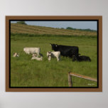West of Sioux Falls, South Dakota Posters