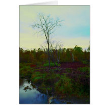 West River Cards