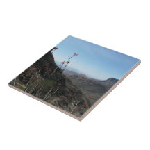 West-Texas Vista Ceramic Tile