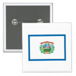WEST VIRGINIA BUTTONS