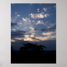 West Virginia Sky and Tree 10 Poster