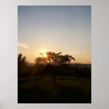 West Virginia Sky and Tree 14 Poster