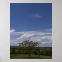 West Virginia Sky and Tree 4 Posters