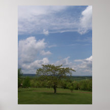 West Virginia Sky and Tree 6 Poster