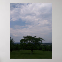 West Virginia Tree & Clouds Posters