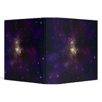 Westerlund 2, a young star cluster 3 ring binder